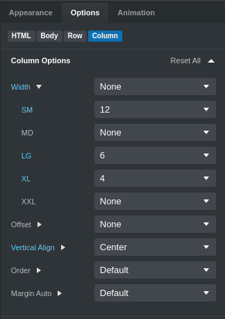 Column Options Panel